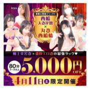 ヒメ日記 2026/04/11 19:34 投稿 おうか 西船人妻花壇