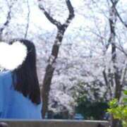 ヒメ日記 2026/04/13 07:37 投稿 おうか 西船人妻花壇