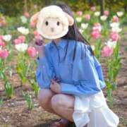 ヒメ日記 2026/04/15 21:34 投稿 おうか 西船人妻花壇