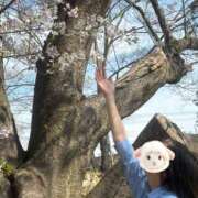 ヒメ日記 2026/04/16 22:03 投稿 おうか 西船人妻花壇