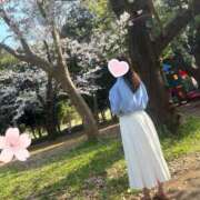 ヒメ日記 2026/04/17 08:10 投稿 おうか 西船人妻花壇