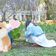 ヒメ日記 2026/04/17 15:08 投稿 おうか 西船人妻花壇