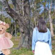 ヒメ日記 2026/04/19 08:03 投稿 おうか 西船人妻花壇