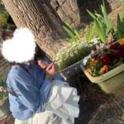 ヒメ日記 2026/04/20 19:34 投稿 おうか 西船人妻花壇