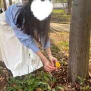 ヒメ日記 2026/04/20 20:34 投稿 おうか 西船人妻花壇