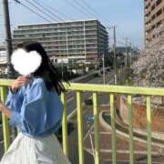 ヒメ日記 2026/04/22 07:08 投稿 おうか 西船人妻花壇