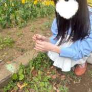 ヒメ日記 2026/04/22 09:09 投稿 おうか 西船人妻花壇