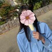 ヒメ日記 2026/04/23 18:05 投稿 おうか 西船人妻花壇