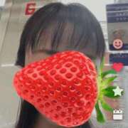 ヒメ日記 2026/04/25 08:33 投稿 おうか 西船人妻花壇