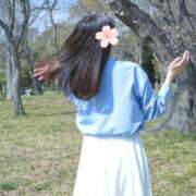 ヒメ日記 2026/04/25 20:16 投稿 おうか 西船人妻花壇