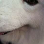 ヒメ日記 2026/04/26 14:03 投稿 おうか 西船人妻花壇