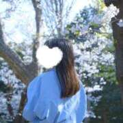 ヒメ日記 2026/04/28 09:09 投稿 おうか 西船人妻花壇