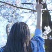 ヒメ日記 2026/04/28 09:43 投稿 おうか 西船人妻花壇