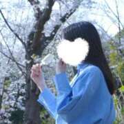 ヒメ日記 2026/04/28 14:33 投稿 おうか 西船人妻花壇