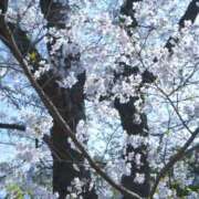 ヒメ日記 2026/05/02 20:16 投稿 おうか 西船人妻花壇