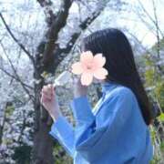 ヒメ日記 2026/05/18 21:17 投稿 おうか 西船人妻花壇
