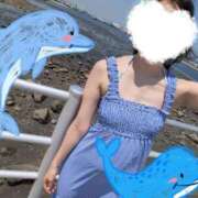 ヒメ日記 2026/05/19 06:13 投稿 おうか 西船人妻花壇