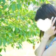 ヒメ日記 2026/06/01 17:46 投稿 おうか 西船人妻花壇