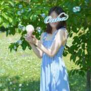 ヒメ日記 2026/06/07 08:12 投稿 おうか 西船人妻花壇