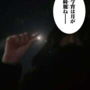 ヒメ日記 2024/12/14 02:12 投稿 れん 西船人妻花壇