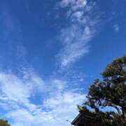 ヒメ日記 2025/07/14 16:54 投稿 れん 西船人妻花壇