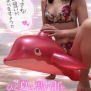 ヒメ日記 2025/07/24 16:02 投稿 れん 西船人妻花壇