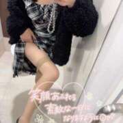 ヒメ日記 2025/11/10 15:44 投稿 れん 西船人妻花壇