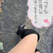 ヒメ日記 2025/11/19 14:37 投稿 れん 西船人妻花壇