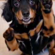 ヒメ日記 2026/04/02 07:22 投稿 れん 西船人妻花壇