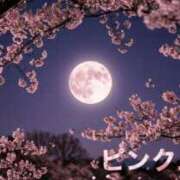 ヒメ日記 2026/04/02 15:04 投稿 れん 西船人妻花壇