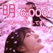 ヒメ日記 2026/04/05 16:15 投稿 れん 西船人妻花壇