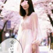 ヒメ日記 2026/04/08 00:00 投稿 れん 西船人妻花壇