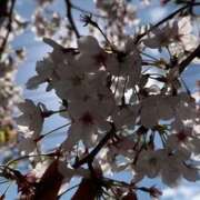 ヒメ日記 2026/04/10 00:05 投稿 れん 西船人妻花壇