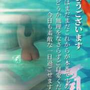 ヒメ日記 2026/07/23 07:25 投稿 れん 西船人妻花壇