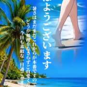 ヒメ日記 2026/08/07 07:18 投稿 れん 西船人妻花壇