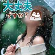 ヒメ日記 2026/08/13 23:31 投稿 れん 西船人妻花壇