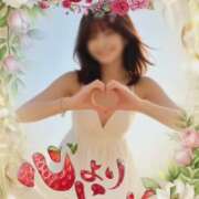 ヒメ日記 2026/09/27 07:17 投稿 れん 西船人妻花壇