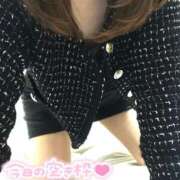 ヒメ日記 2026/10/12 05:16 投稿 れん 西船人妻花壇