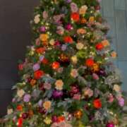 ヒメ日記 2025/12/05 15:29 投稿 りり 西船人妻花壇