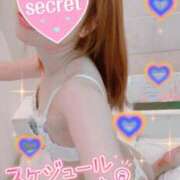 ヒメ日記 2026/04/20 13:43 投稿 りり 西船人妻花壇