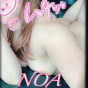 ヒメ日記 2024/12/08 11:49 投稿 のあ 西船人妻花壇