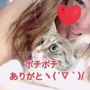 ヒメ日記 2024/12/15 19:31 投稿 のあ 西船人妻花壇