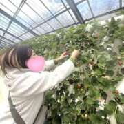 ヒメ日記 2025/03/02 14:15 投稿 のあ 西船人妻花壇