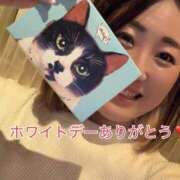 ヒメ日記 2025/03/05 15:03 投稿 のあ 西船人妻花壇