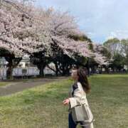 ヒメ日記 2025/04/07 08:44 投稿 のあ 西船人妻花壇