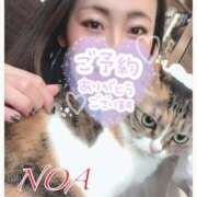 ヒメ日記 2025/04/11 13:46 投稿 のあ 西船人妻花壇