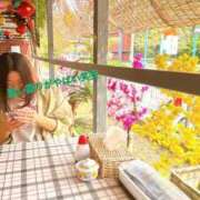 ヒメ日記 2025/04/17 17:12 投稿 のあ 西船人妻花壇