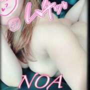 ヒメ日記 2025/09/05 10:22 投稿 のあ 西船人妻花壇