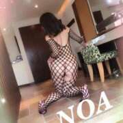 ヒメ日記 2025/10/02 05:34 投稿 のあ 西船人妻花壇