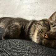 ヒメ日記 2025/10/07 11:12 投稿 のあ 西船人妻花壇